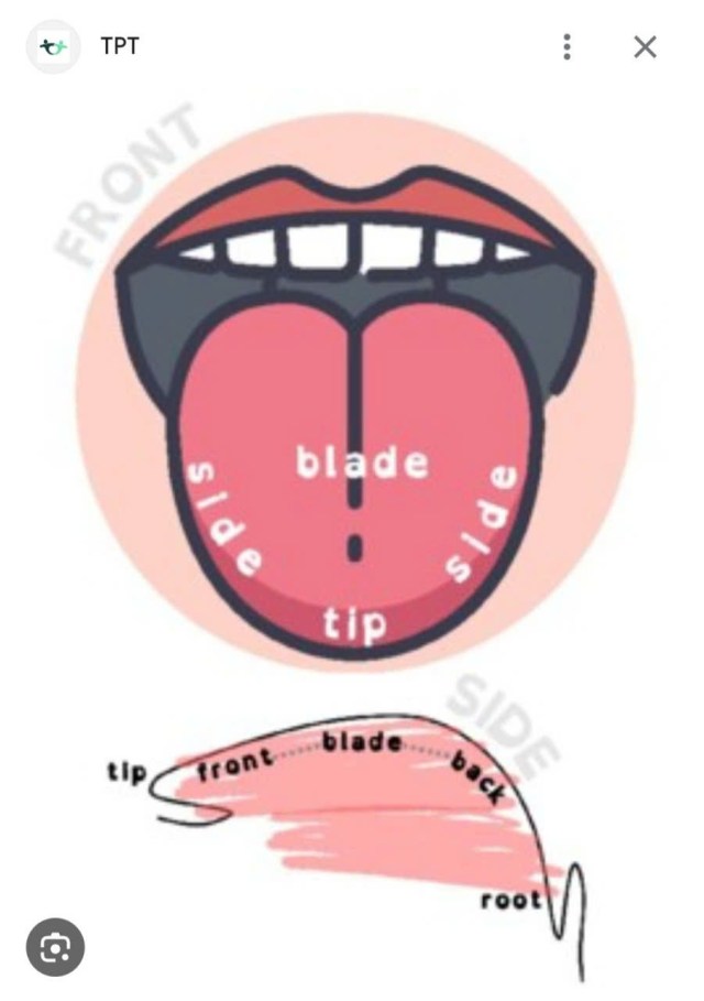 Master tongue control for natural, faster speech  Begin life at forty